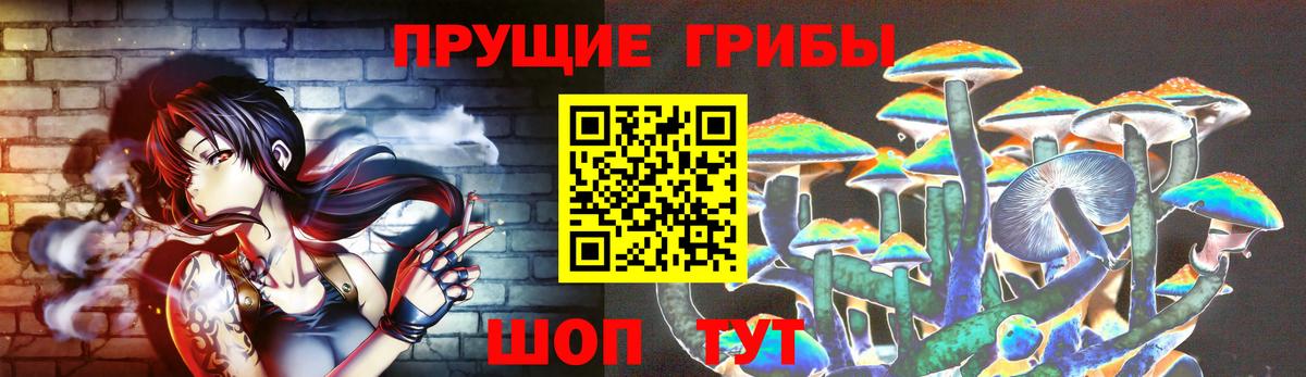 Галлюциногенные грибы мицелий  Кисловодск  Галлюциногенные грибы прущие грибы 