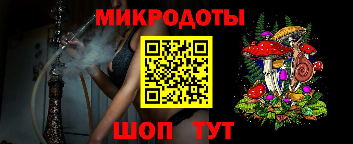 Псилоцибиновые грибы Psilocybe Кисловодск